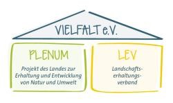 Schematische Darstellung der Aufbauorganisation vom Verein Vielfalt e.V.